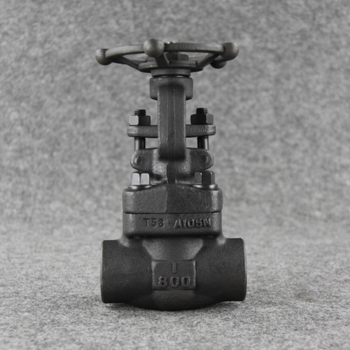 Forged Y Type Globe Valve